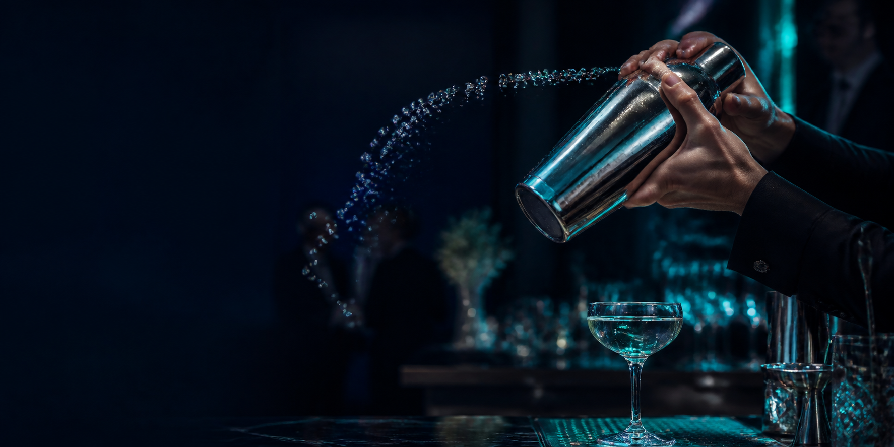 Elegant private bartending event